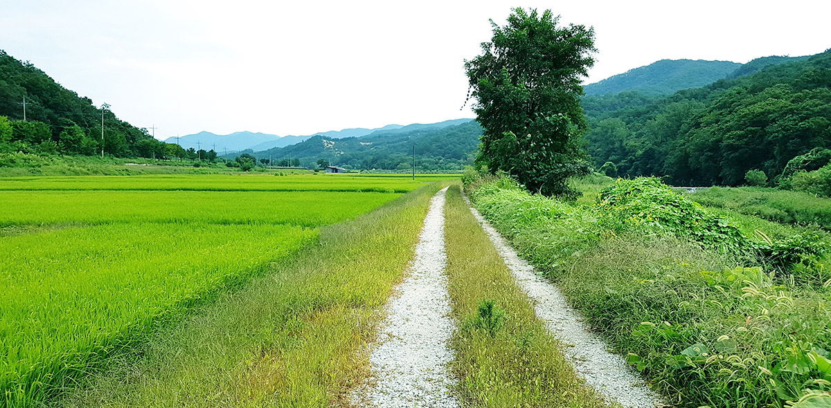 제11코스 부귀영화길